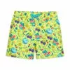 Toy Story Summer Splash Swim Trunks For Boys -Lionel Promotional 5006046952349