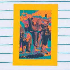 National Geographic Elephants Striped T-Shirt For Adults -Lionel Promotional 5205059588729 3