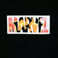 Black Panther: Wakanda Forever Artist Series T-Shirt For Adults -Lionel Promotional 5620047478634 2